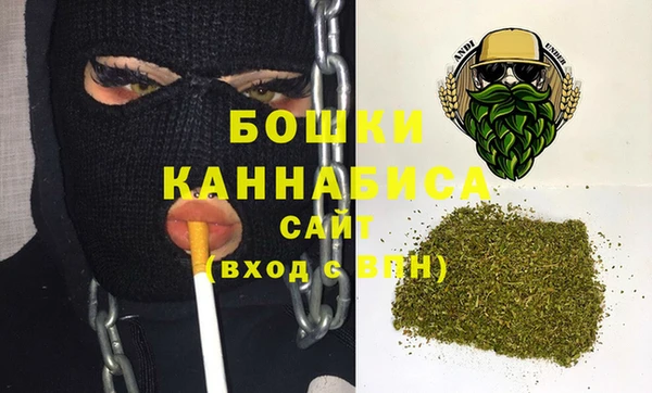 шишки Бронницы